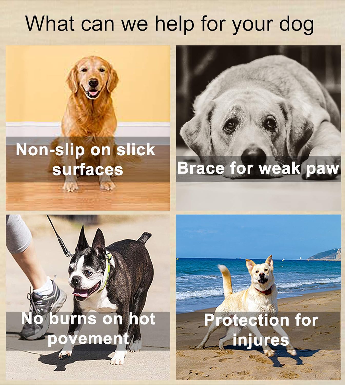 🔥Summer Hot Sale Promotion-49% OFF🐾-Dog Paw Protection-7