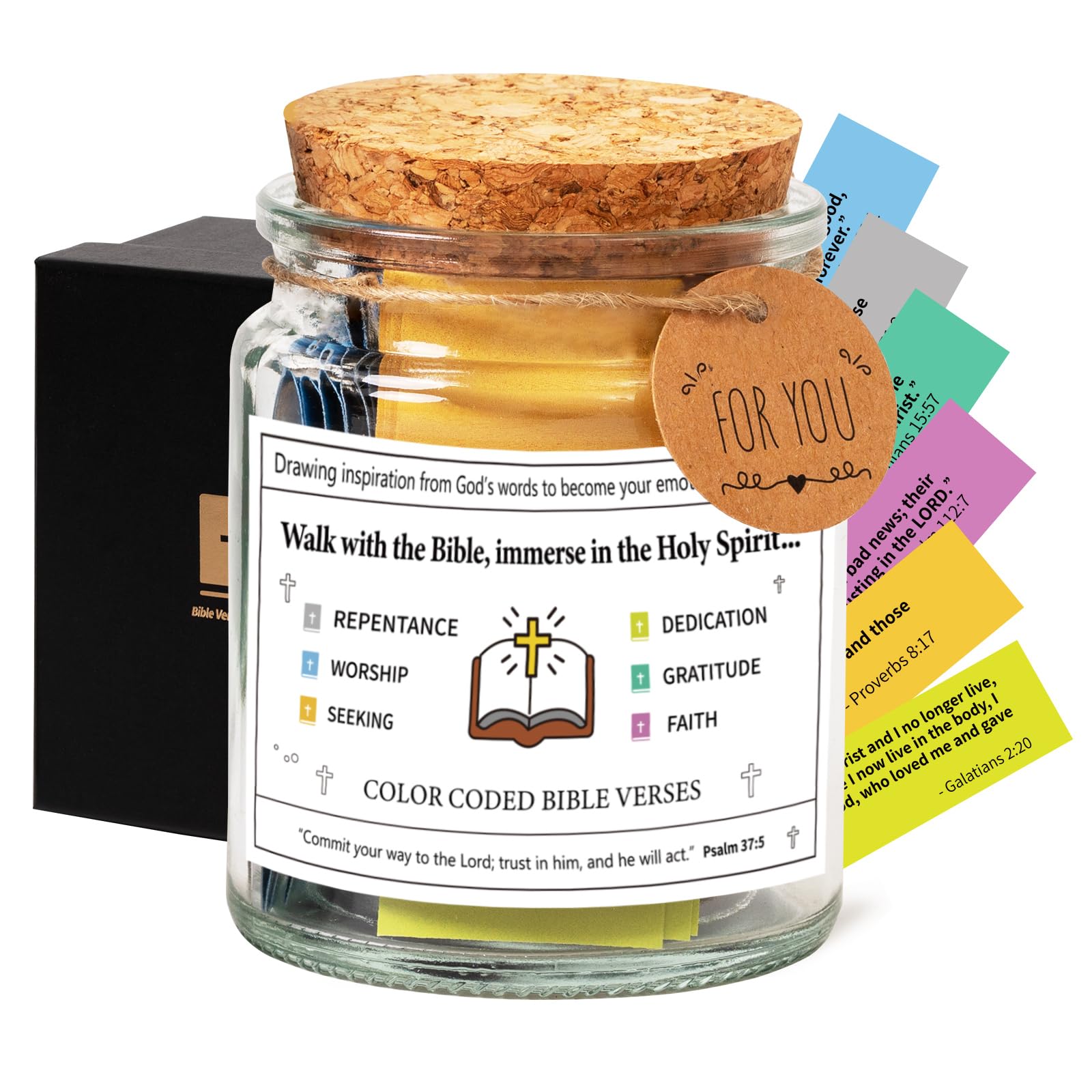 🎅Early Xmas Sale - 49% OFF🎉Inspire Bible Verses in a Jar-6