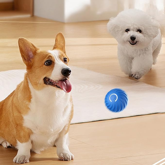 🐶HOT SALE 49% OFF🐶Automatic Smart Teasing Dog Ball That Can't be Bitten-1