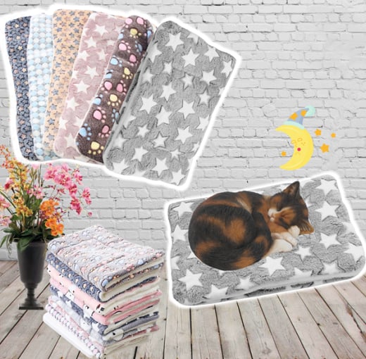 🎅Christmas Sale 49% OFF - Cosy Calming Cat Blanket🎁Buy 2 Save 10%&Free Shipping