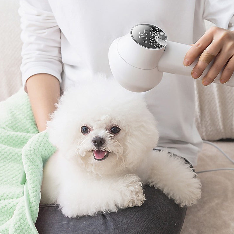 🎁HOT SALE 49% OFF🔥Low Noise Pet Hair Dryer with Slicker Brush-1