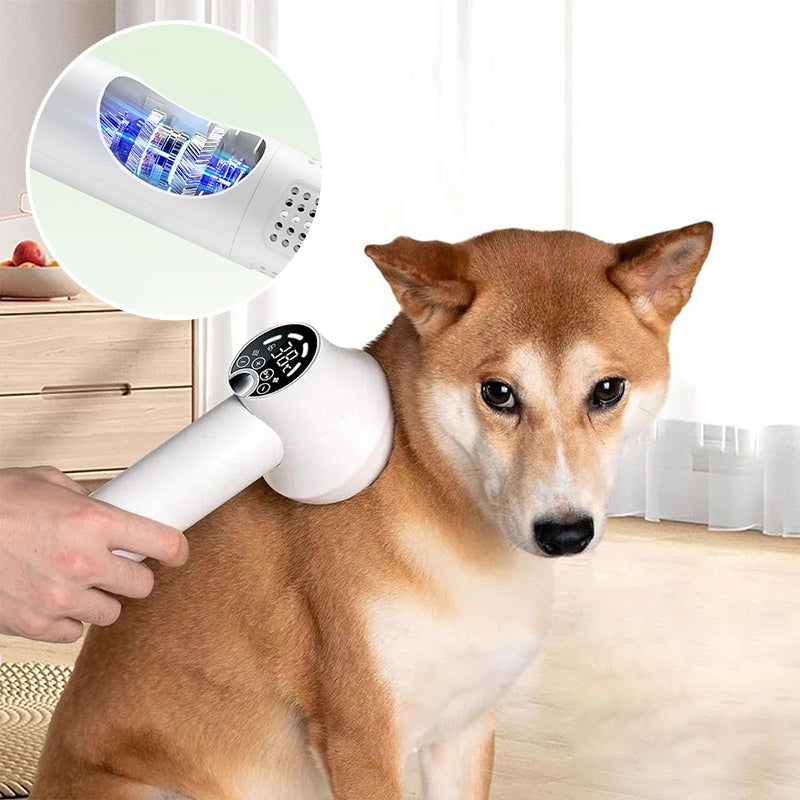 🎁HOT SALE 49% OFF🔥Low Noise Pet Hair Dryer with Slicker Brush-6