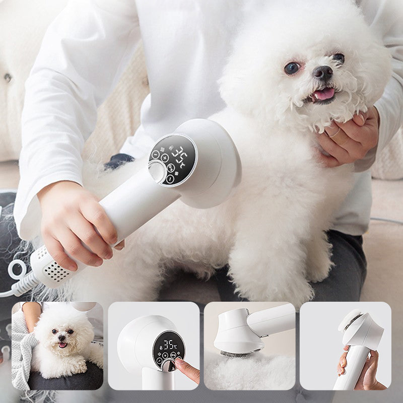 🎁HOT SALE 49% OFF🔥Low Noise Pet Hair Dryer with Slicker Brush-7